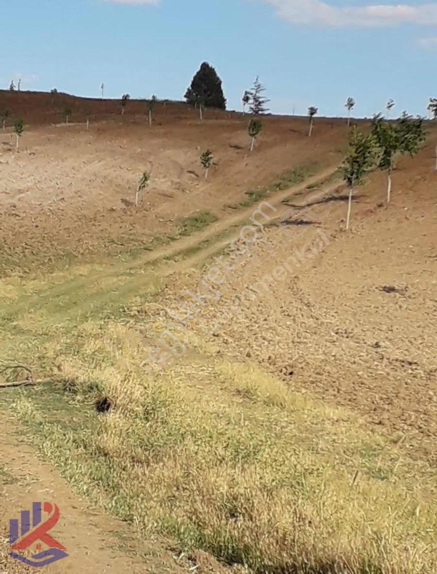 Reos Gayrimenkul'den Çağlayancerit'de Satılık 17.380 M² Bağ - Görsel 13