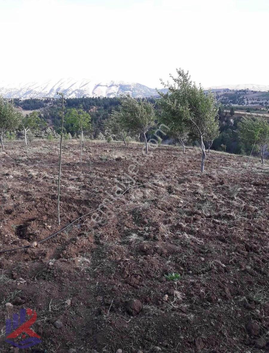 Reos Gayrimenkul'den Çağlayancerit'de Satılık 17.380 M² Bağ - Görsel 23