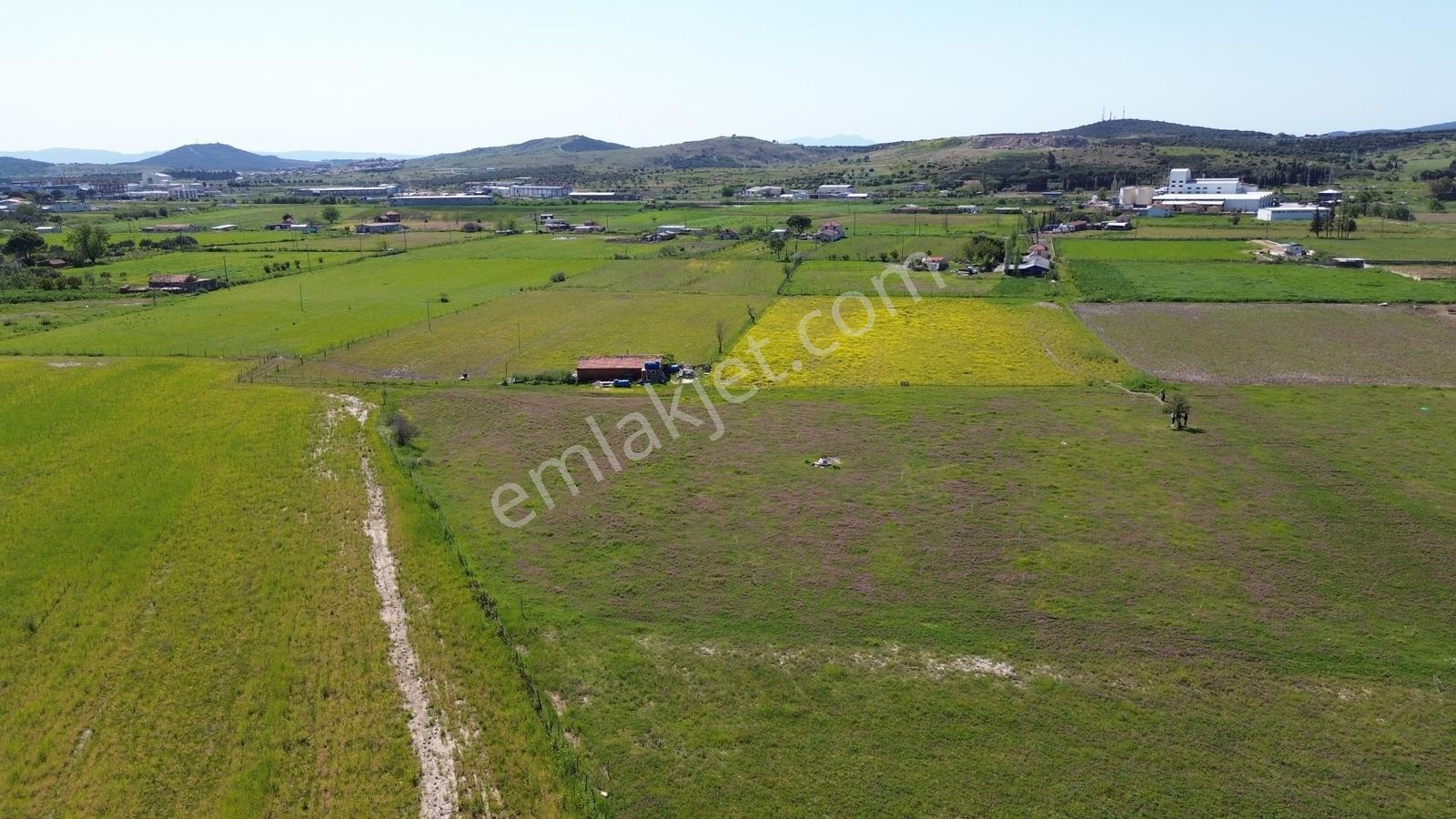 Ayvalık'ta Kaçırılmayacak Fırsat Satılık Tarla - Görsel 16