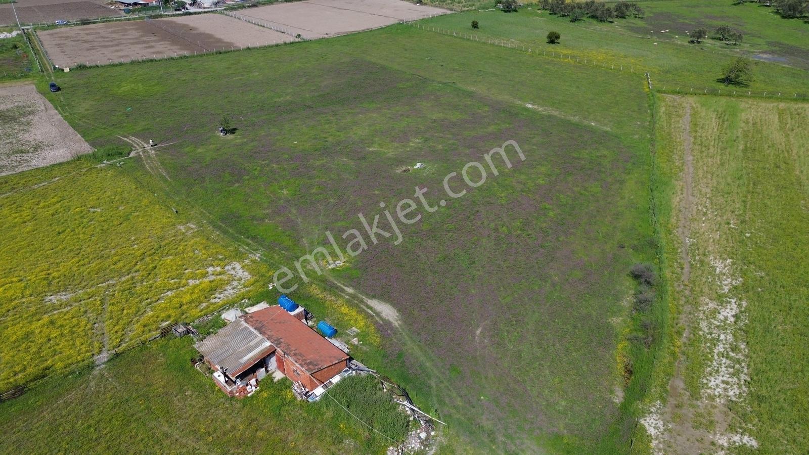 Ayvalık'ta Kaçırılmayacak Fırsat Satılık Tarla - Görsel 29