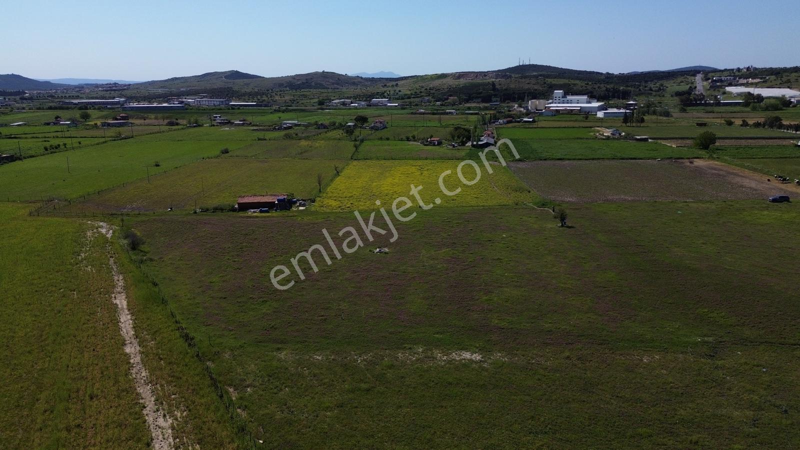 Ayvalık'ta Kaçırılmayacak Fırsat Satılık Tarla - Görsel 25