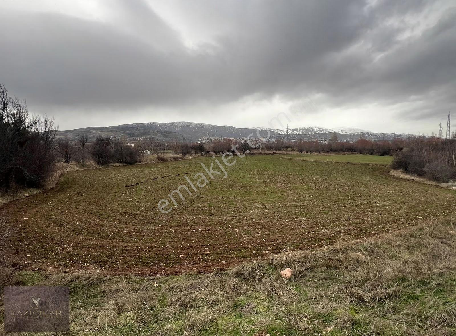 Suşehri Avculuda Ana Yola Yakın Geniş Tarla 11.705 M² Tek Tapu - Görsel 2