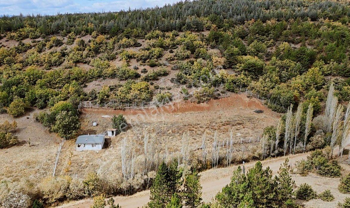 Derbentli Gayrimenkul'den Satılık Müstakil Bahce 3000 M2 - Görsel 2