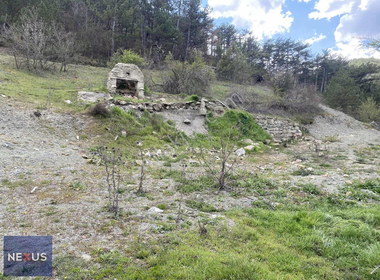 Bolu Mudurnu Hacımusular Köyünde Satılık 1.510 M2 Arsa İmarlı - Görsel 14