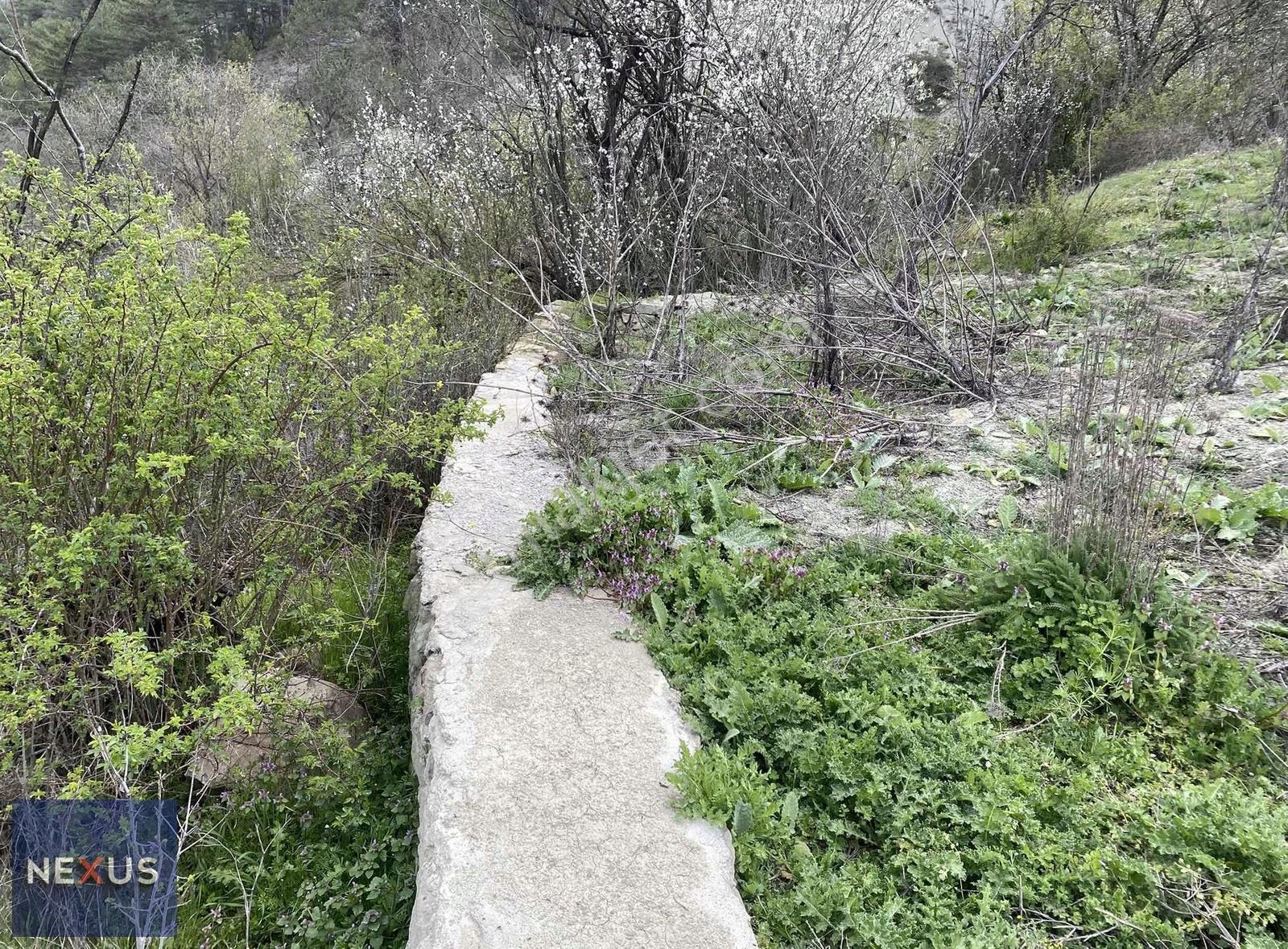 Bolu Mudurnu Hacımusular Köyünde Satılık 1.510 M2 Arsa İmarlı - Görsel 6