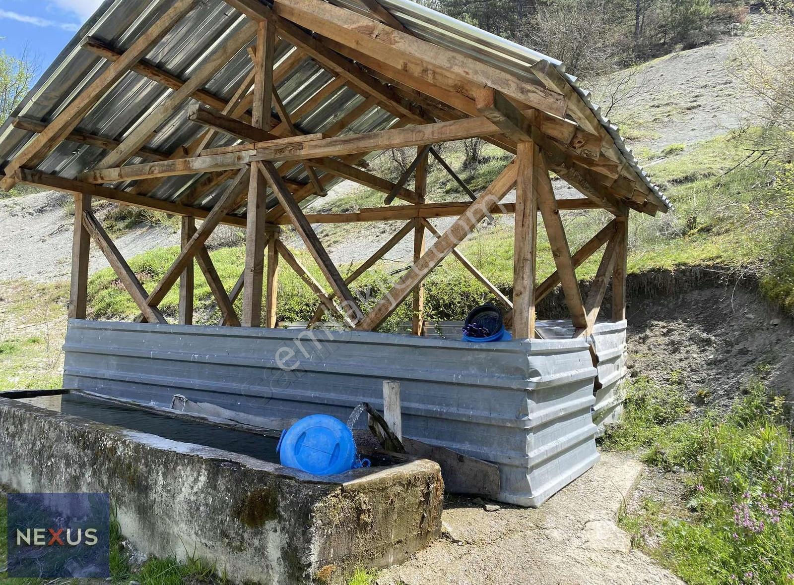 Bolu Mudurnu Hacımusular Köyünde Satılık 1.510 M2 Arsa İmarlı - Görsel 12