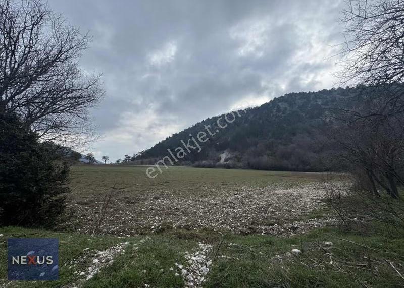 Bolu Göynük Mevki Satlık 1.780. Metre Satılık Tarla