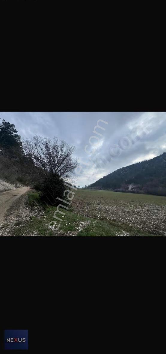Bolu Göynük Mevki Satlık 1.780. Metre Satılık Tarla - Görsel 3