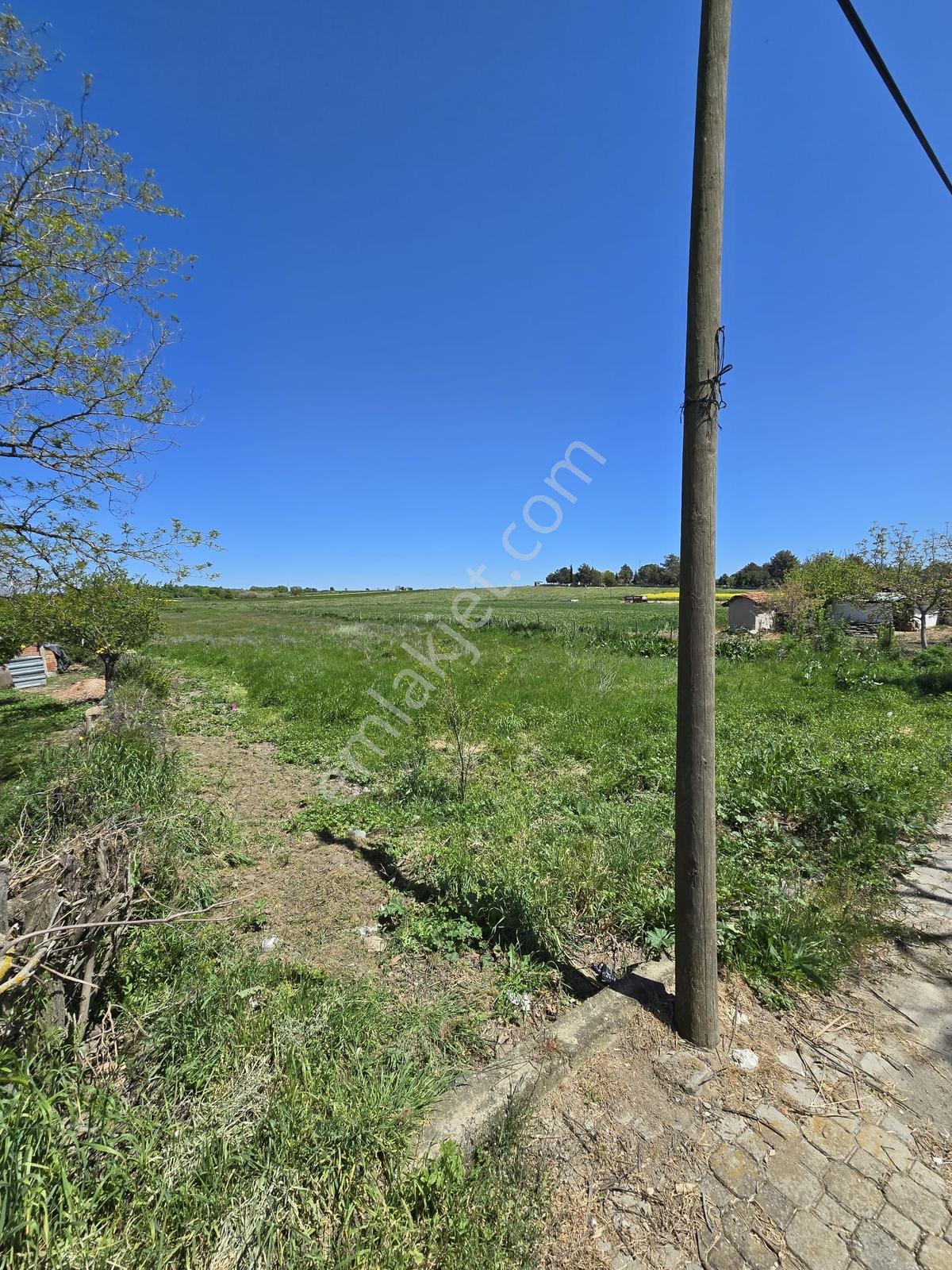 Çöpköy Mah Satılık 2486 M² Arsa Vira Gayrimenkul - Görsel 4