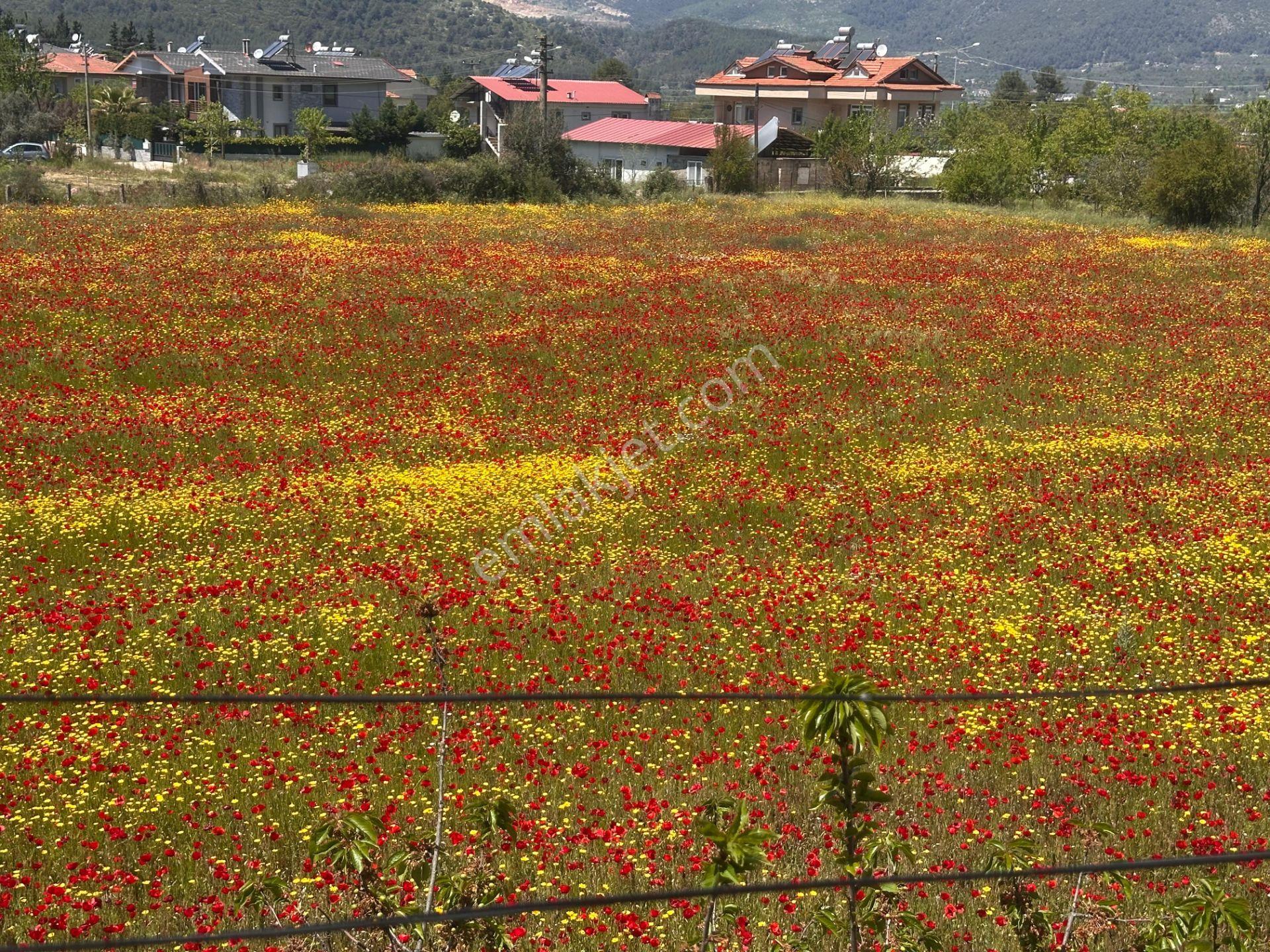 Stop'tan Fethiye Üzümlü’de Doğayla İç İçe Lüks Müstakil Villa - Görsel 10