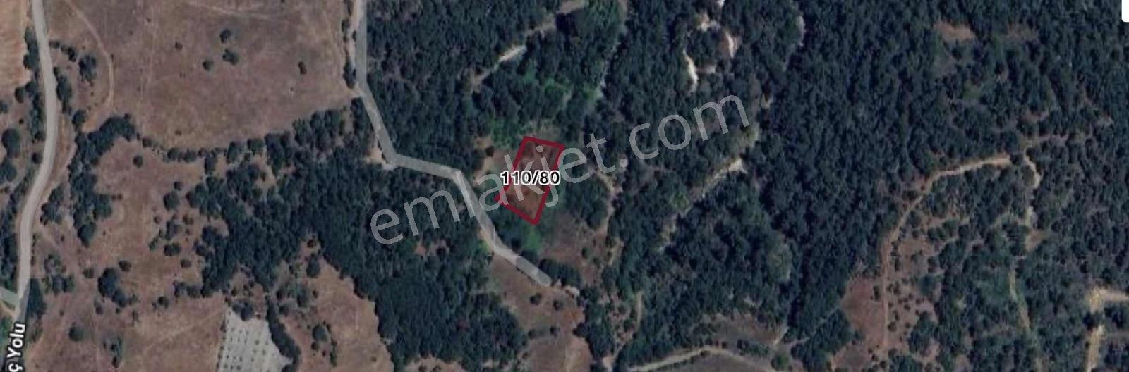 Savaştepe Çaltılı'da 1311 M2 Müstakil Parsel