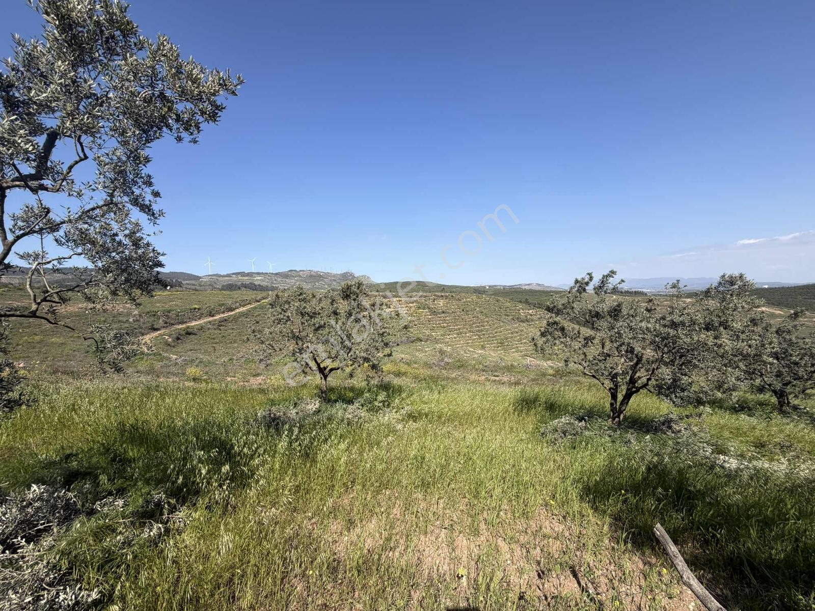 Bursa Osmangazi Aksungur Satılık Tarla - Görsel 15