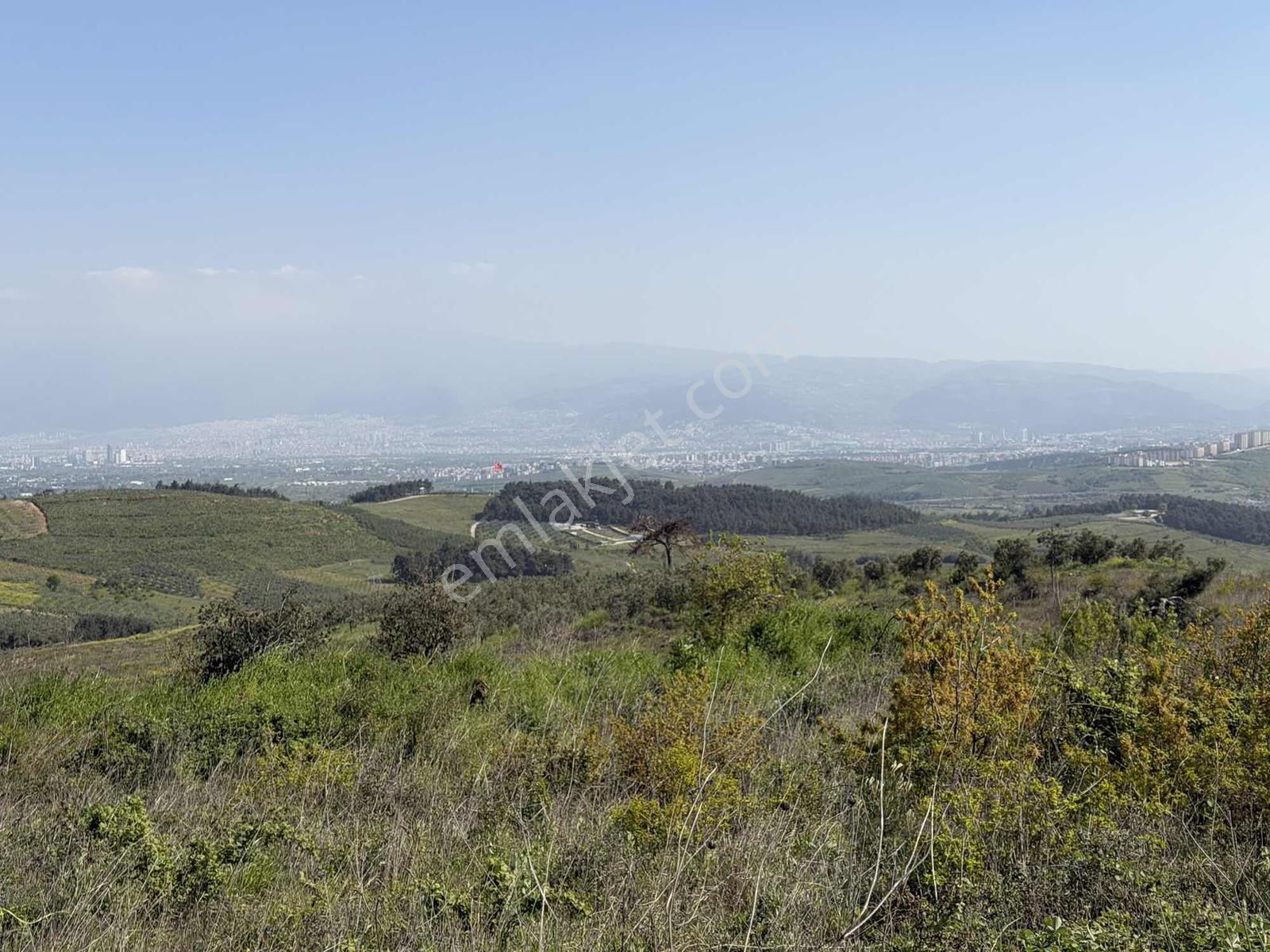 Bursa Osmangazi Aksungur Satılık Tarla - Görsel 2