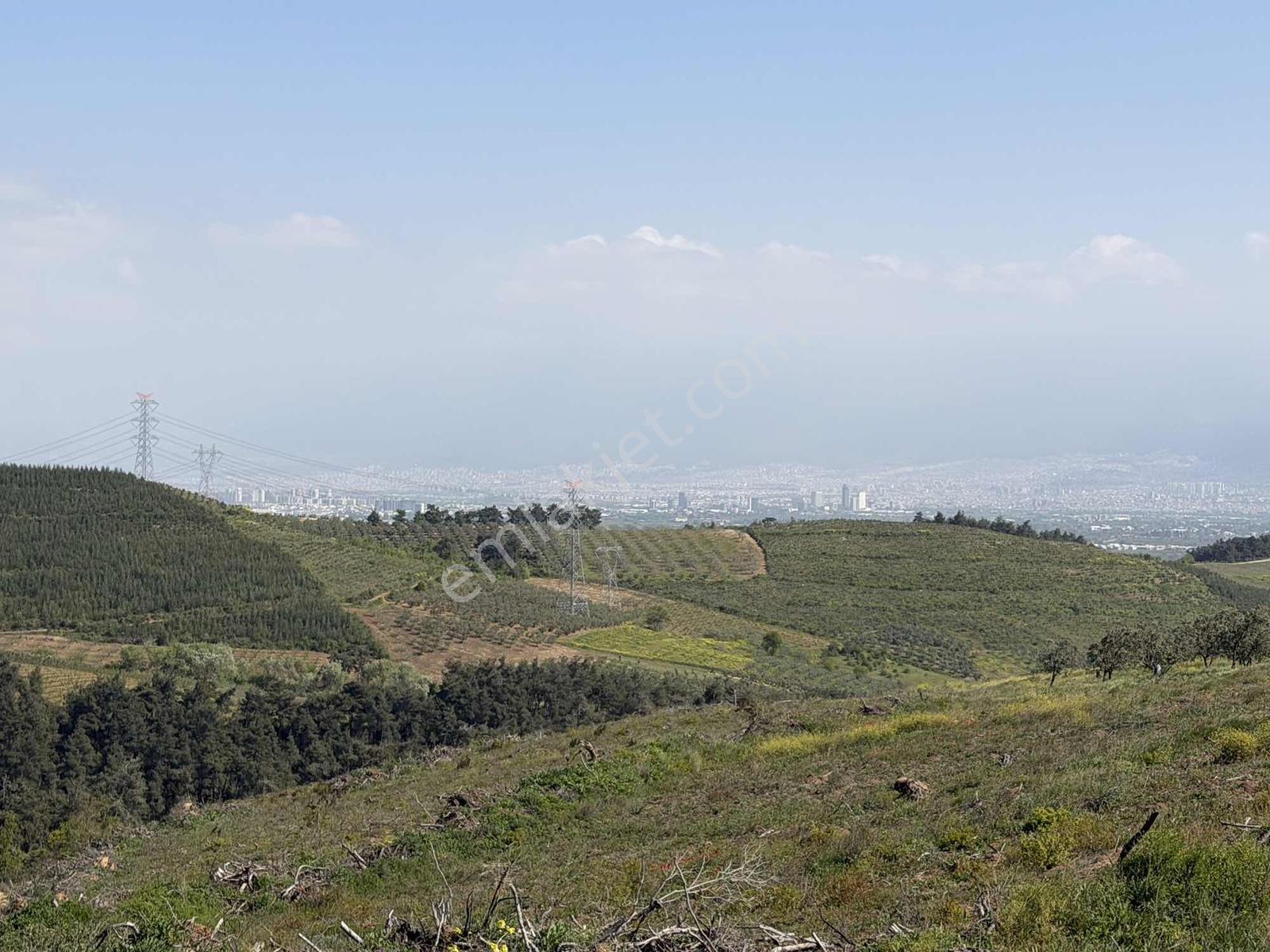 Bursa Osmangazi Aksungur Satılık Tarla - Görsel 19