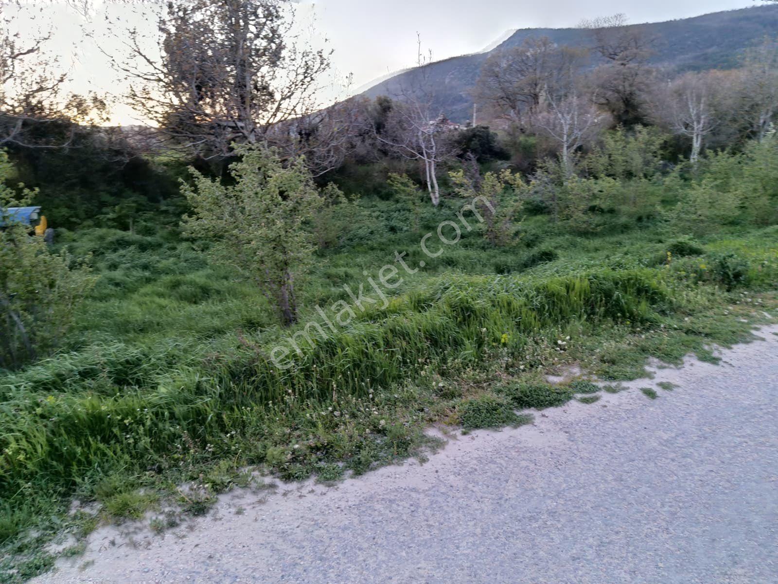 Köy İçi İmarlı Satılık Arsa Yatırım Fırsatı Bolu Göynük Kılavuzlar - Görsel 6