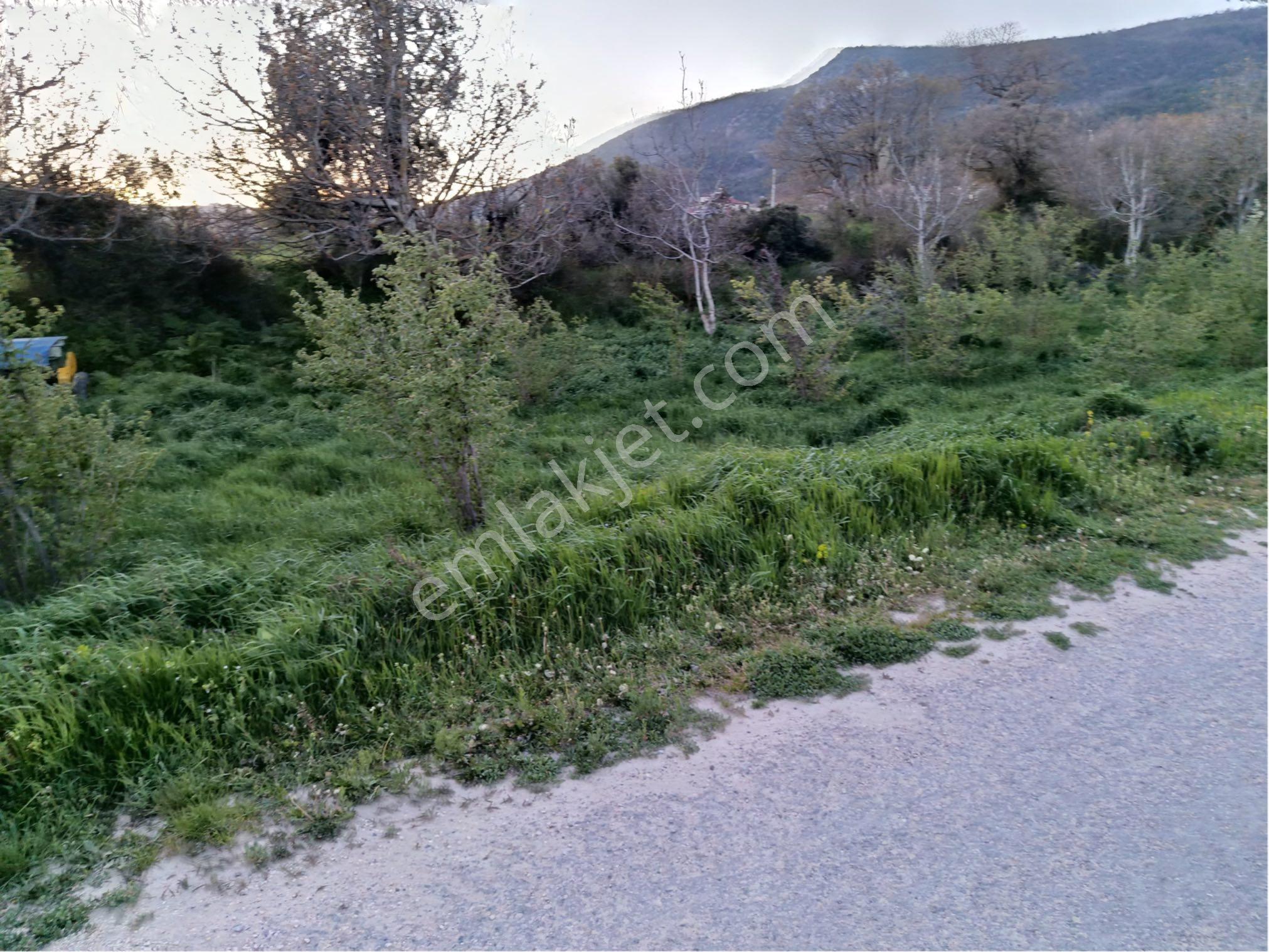 Köy İçi İmarlı Satılık Arsa Yatırım Fırsatı Bolu Göynük Kılavuzlar - Görsel 10