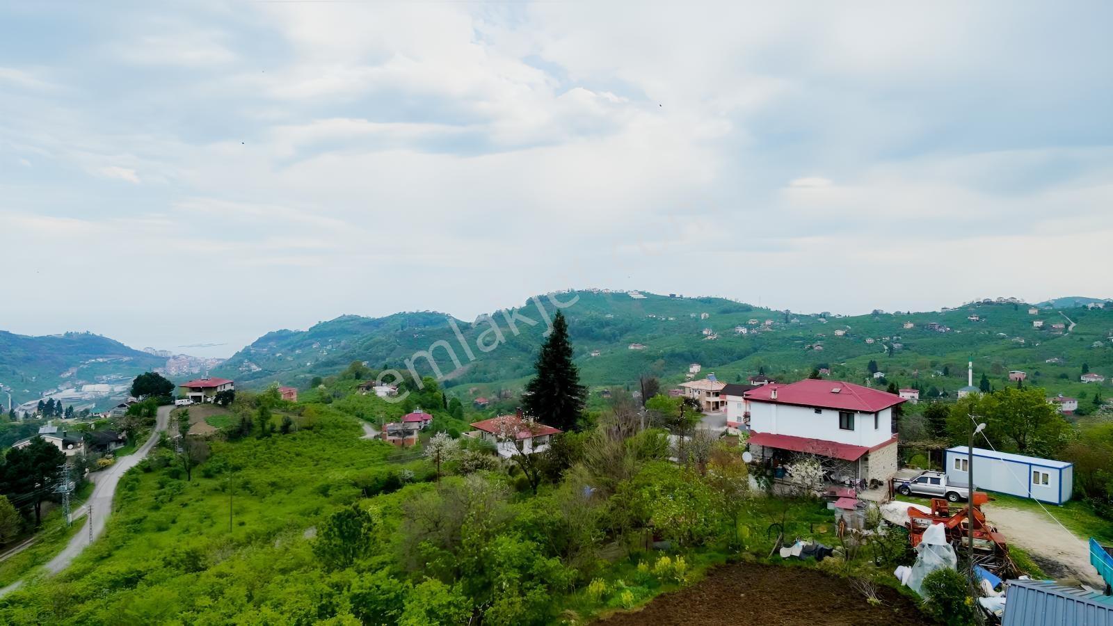 Rw Taka/trabzon Yomra Kayabaşı Köyünde Satılık Arsa - Görsel 23