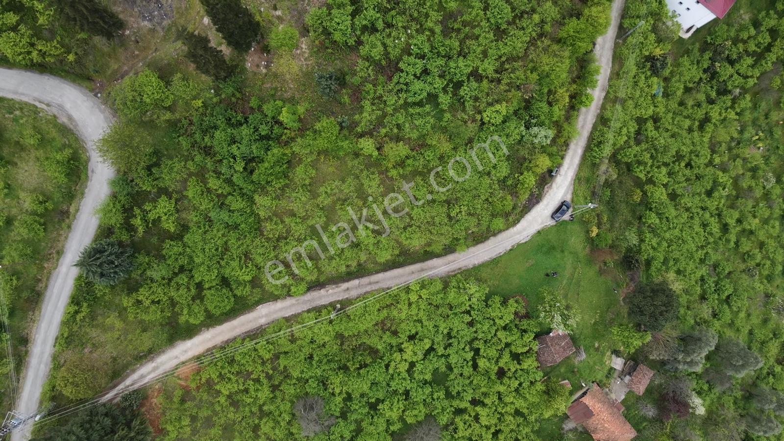 Rw Taka/trabzon Yomra Kayabaşı Köyünde Satılık Arsa - Görsel 2