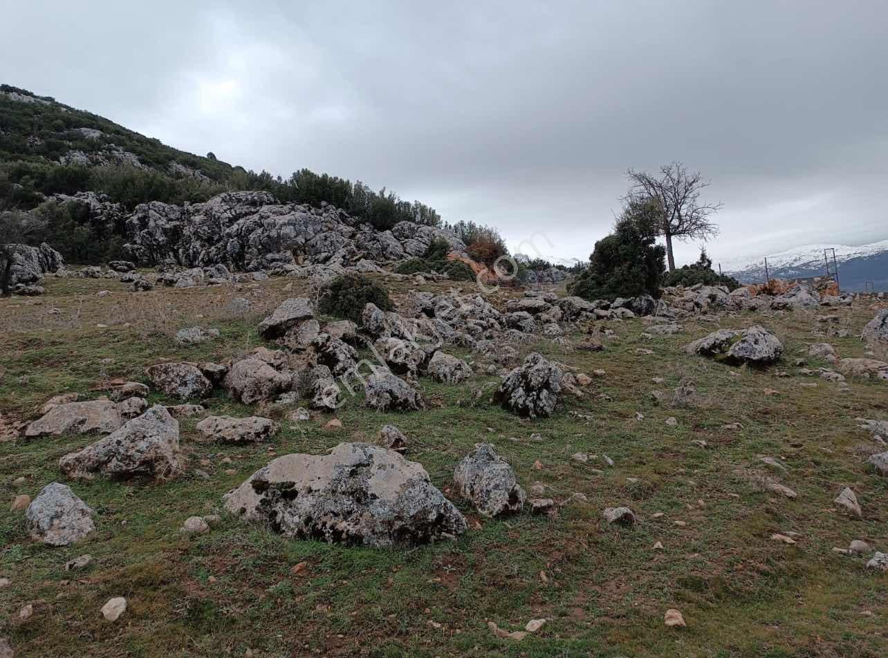 Seydikemer Yayla Ceylanda Satılık Çiftlik Arazisi - Görsel 4