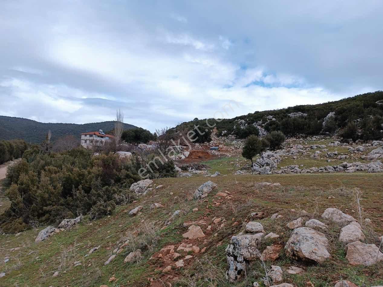 Seydikemer Yayla Ceylanda Satılık Çiftlik Arazisi - Görsel 5