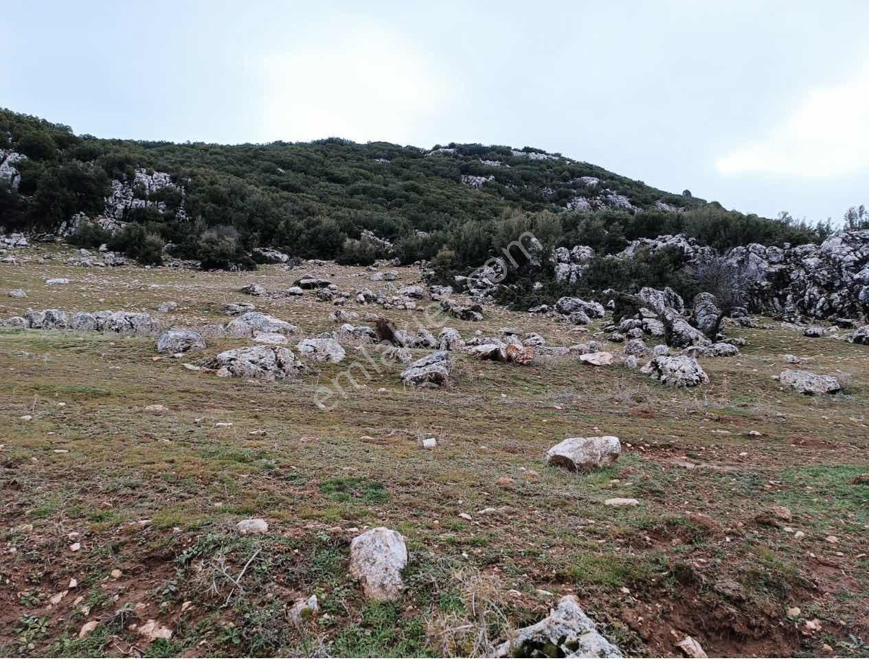 Seydikemer Yayla Ceylanda Satılık Çiftlik Arazisi - Görsel 3