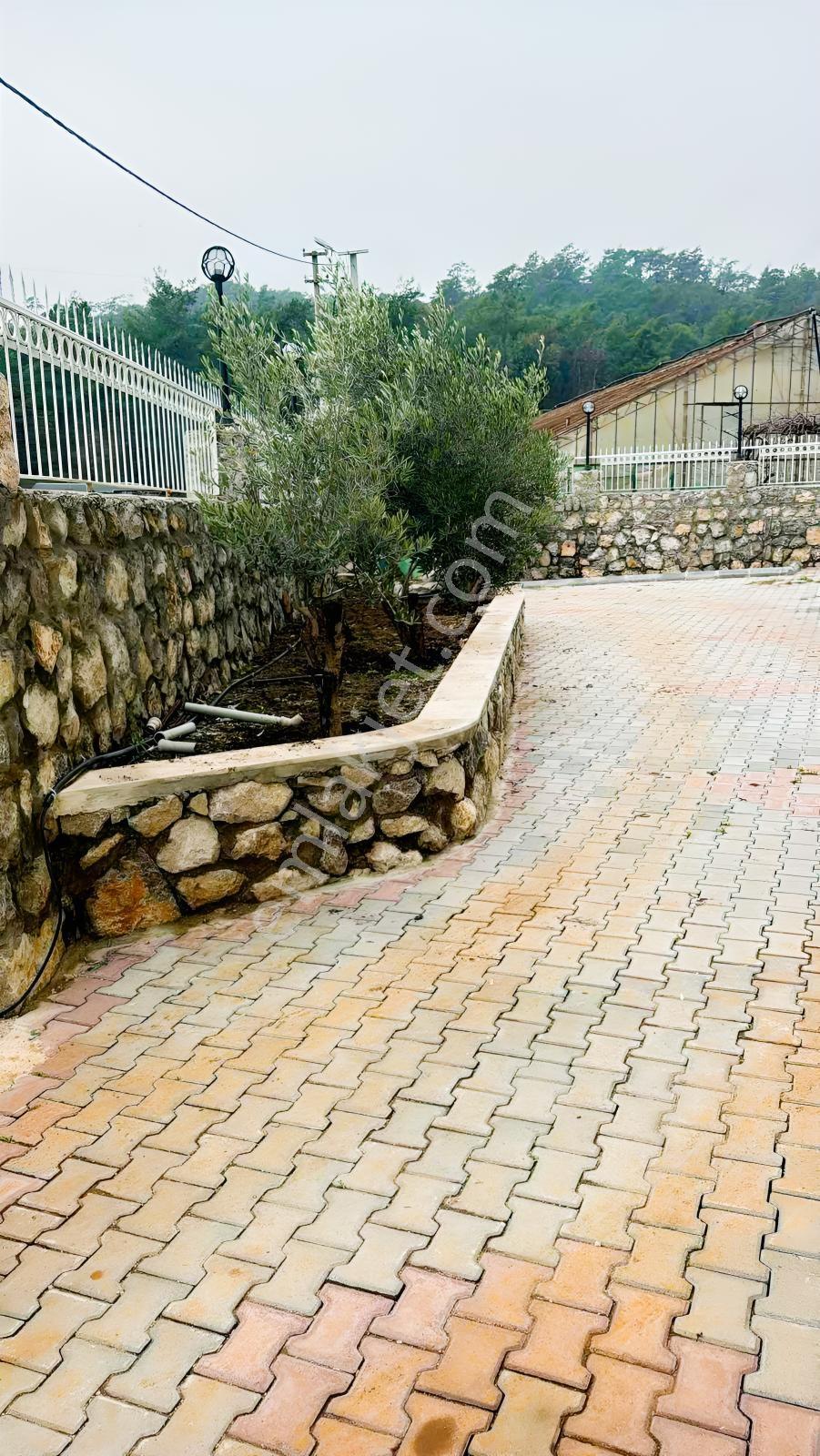 Kargı Mahallesinde Müstakil Sıfır Villa - Görsel 8