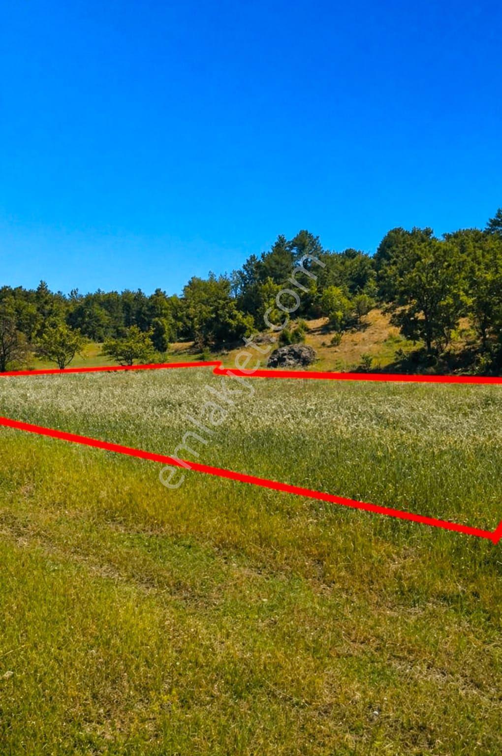 Bursa Keles Uzunöz’de Satılık 4.060 M² Yatırımlık Arazi - Görsel 3