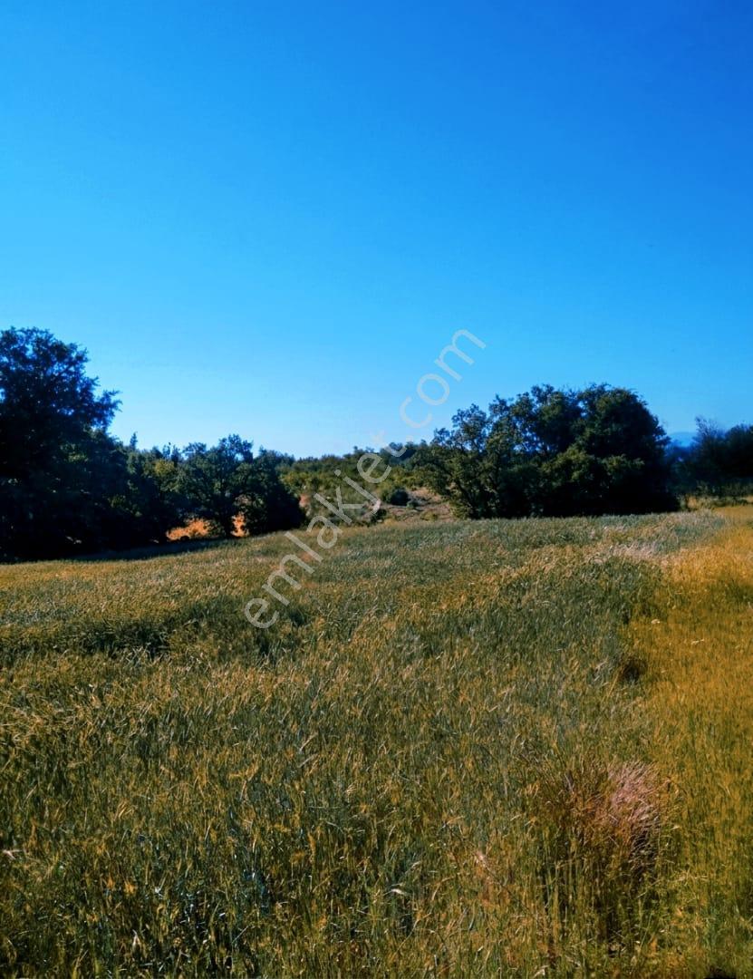 Bursa Keles Uzunöz’de Satılık 4.060 M² Yatırımlık Arazi - Görsel 2
