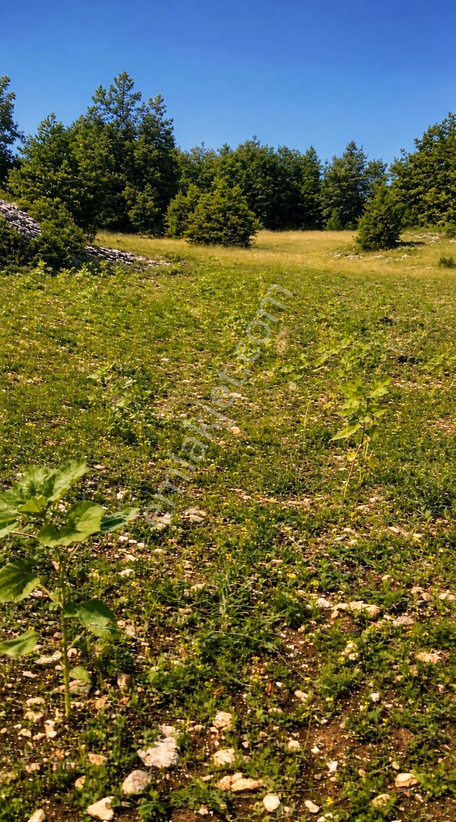 Bursa Keles Uzunöz’de Satılık 4.060 M² Yatırımlık Arazi