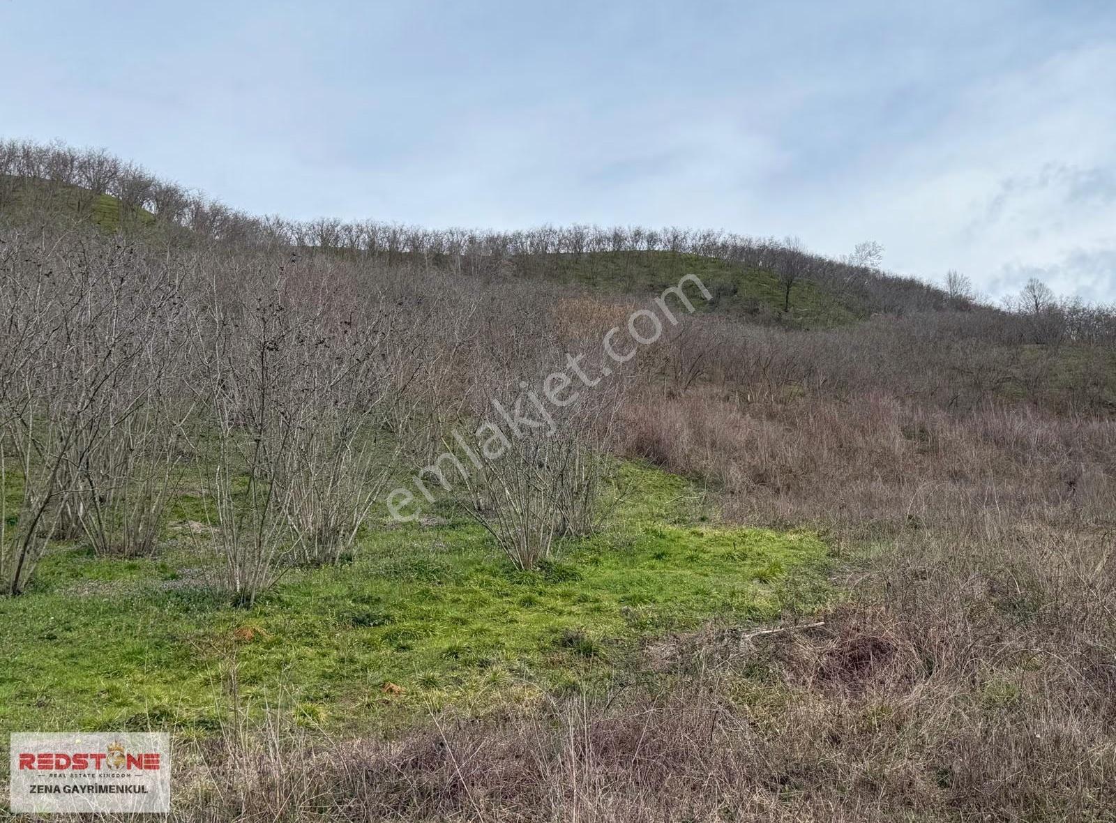 Düzce Akçakoca'da Satılık 24.573 M² Çiftlik Arsası - Görsel 22