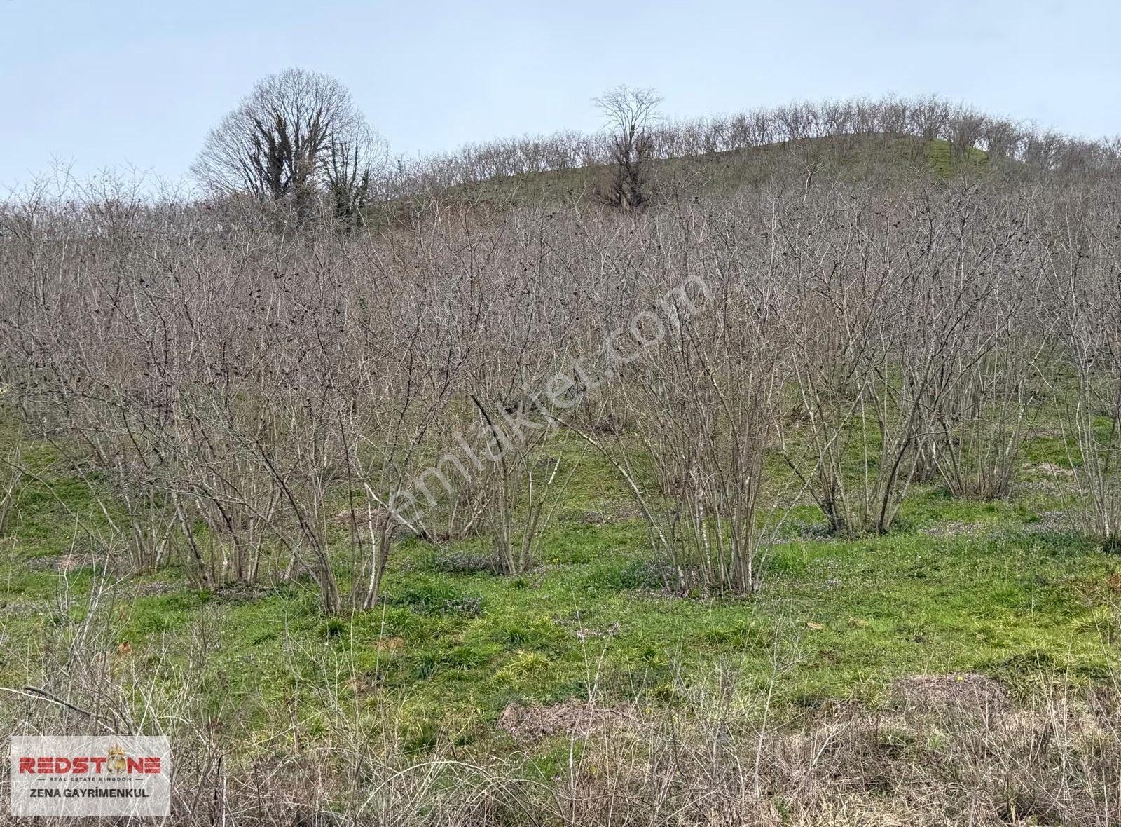 Düzce Akçakoca'da Satılık 24.573 M² Çiftlik Arsası - Görsel 26