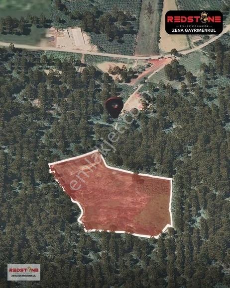 Düzce Akçakoca'da Satılık 24.573 M² Çiftlik Arsası - Görsel 7