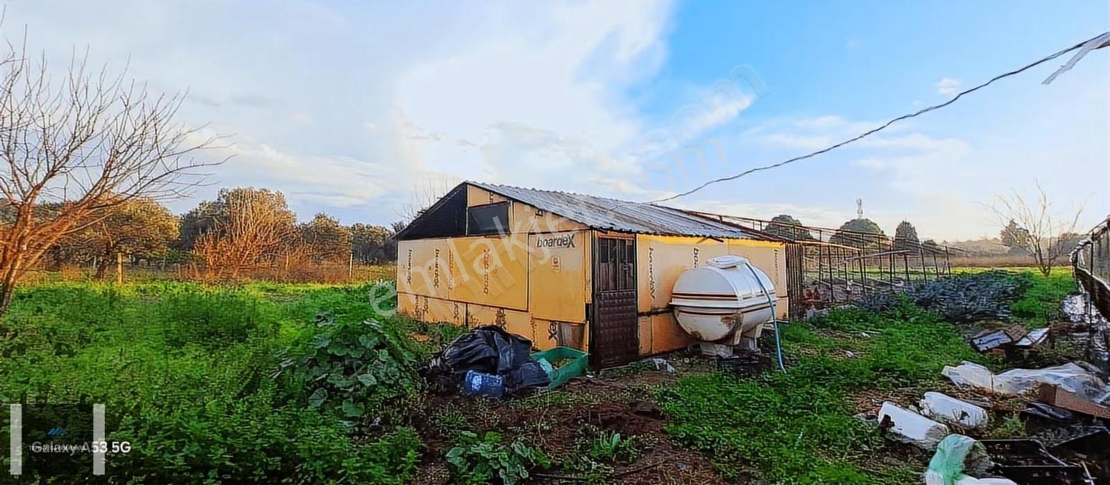 Urla Atatürk Mhlesi 1/5000lik De 10.858m² Köy Evi Bulunan Tarla - Görsel 3
