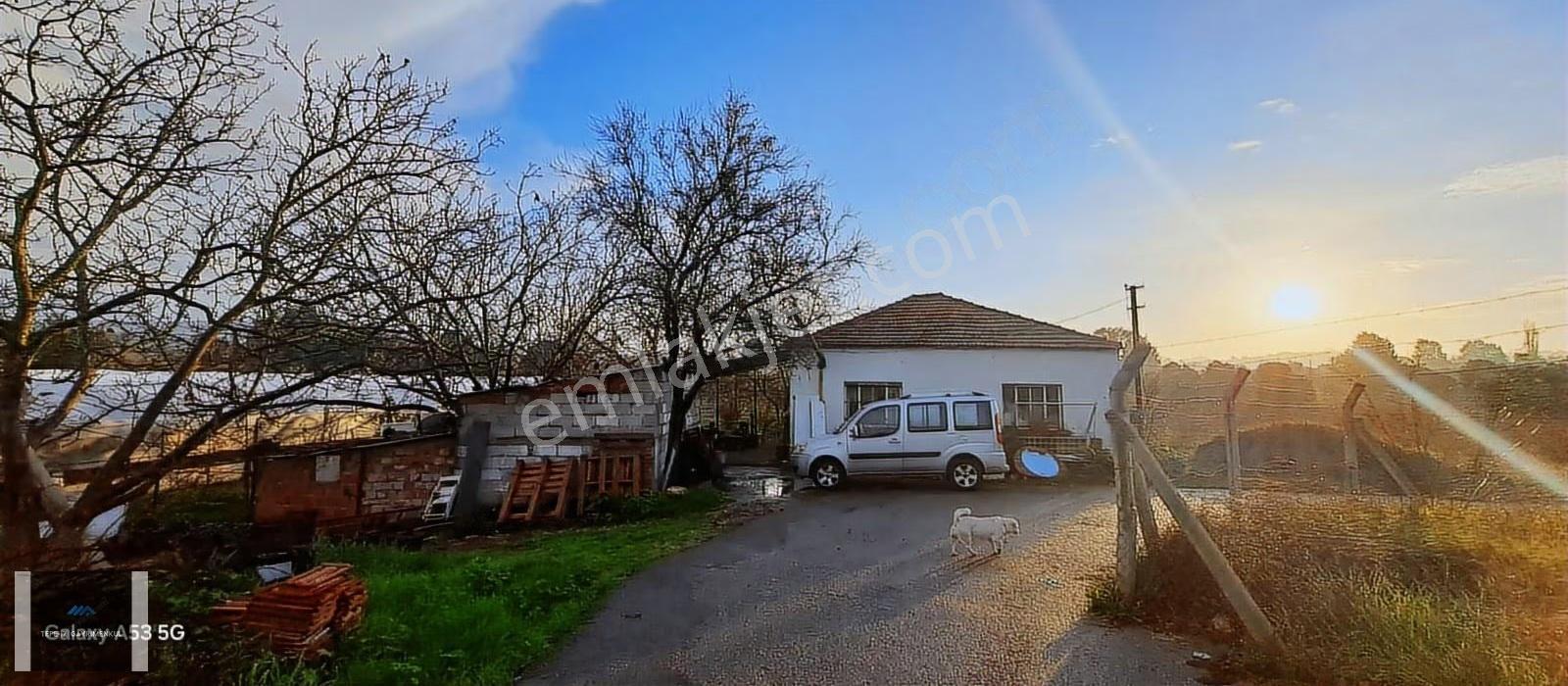 Urla Atatürk Mhlesi 1/5000lik De 10.858m² Köy Evi Bulunan Tarla - Görsel 6