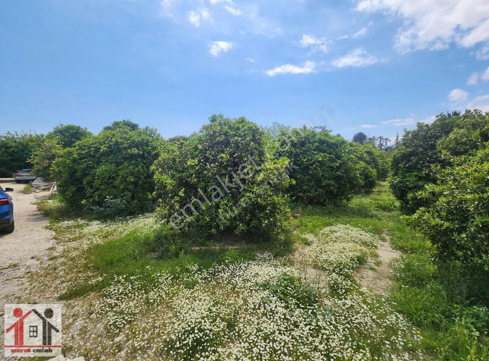Beldibinde Denize 350 Metrede 600m2 Konut Villa Arsası - Görsel 6