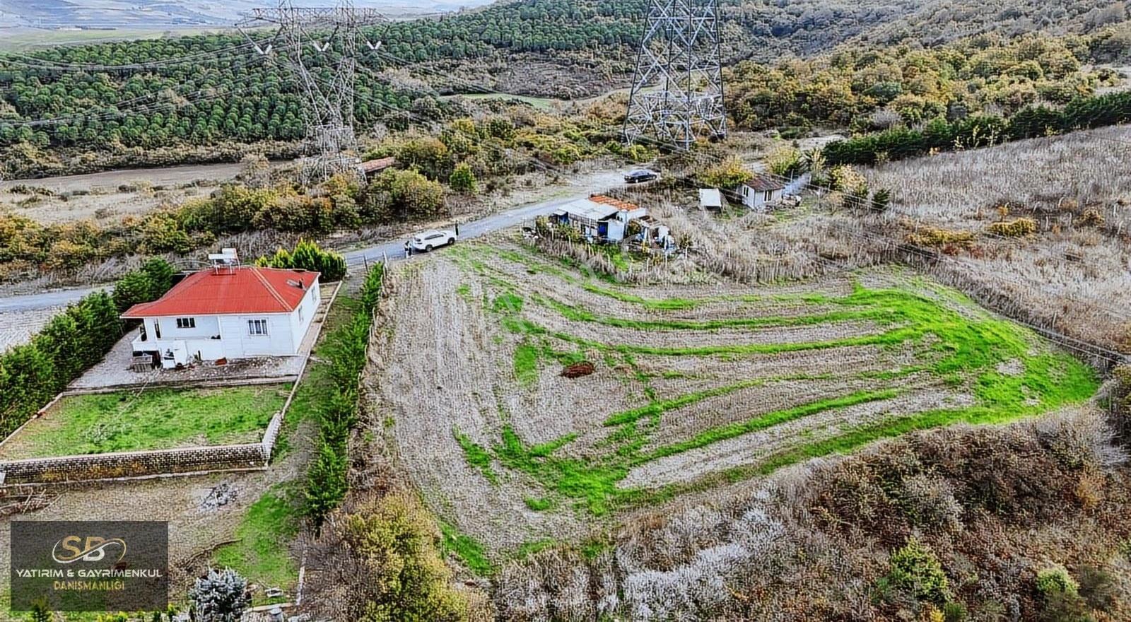 Boyalık Mah 385 M2 Z+4 & Z+3 Ticari Ve Konut İmarlı - Görsel 6