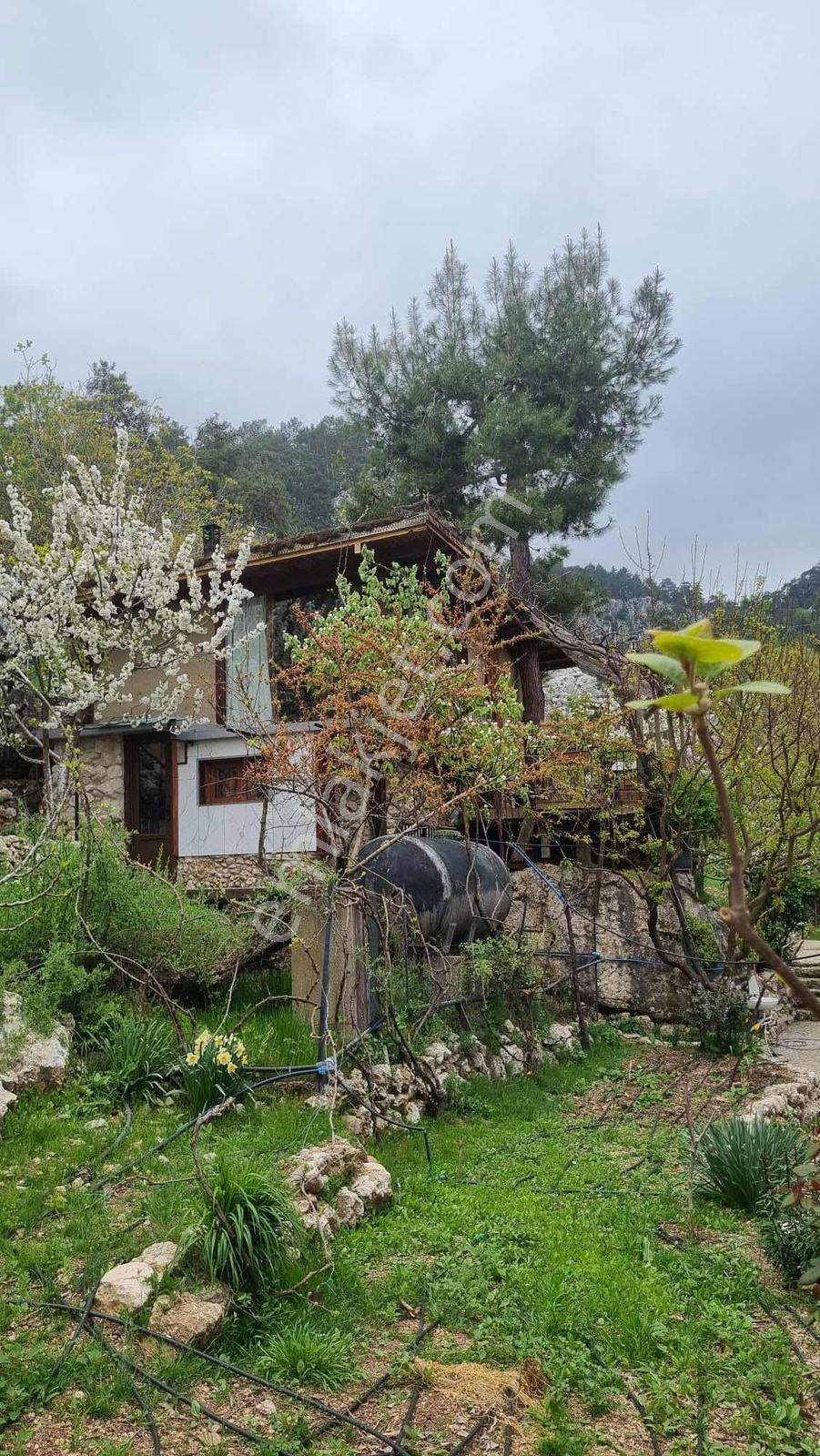 Balo Gayrimenkul'den Hurma'ya 20km 1012m2 Arsa İçinde Otantik Ev - Görsel 19