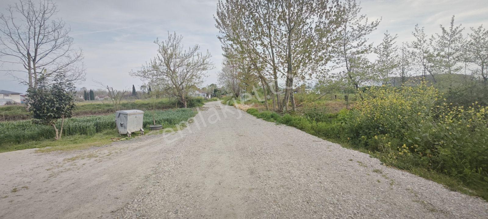 Yol Su Elektrik Var.köy İçine Yakın Konumda Müstakil Tapu - Görsel 8