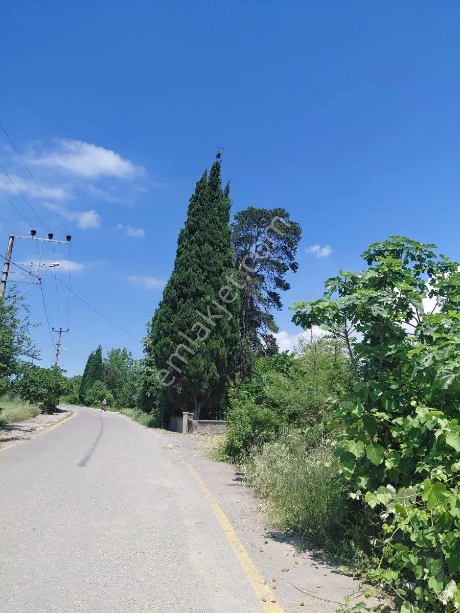 Yol Su Elektrik Var.köy İçine Yakın Konumda Müstakil Tapu - Görsel 10