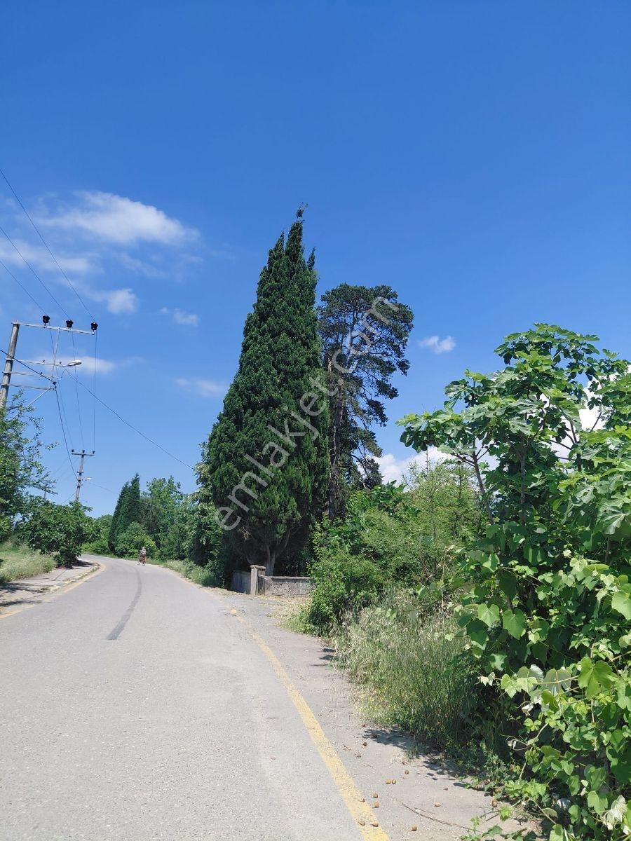 Yol Su Elektrik Var.köy İçine Yakın Konumda Müstakil Tapu - Görsel 2