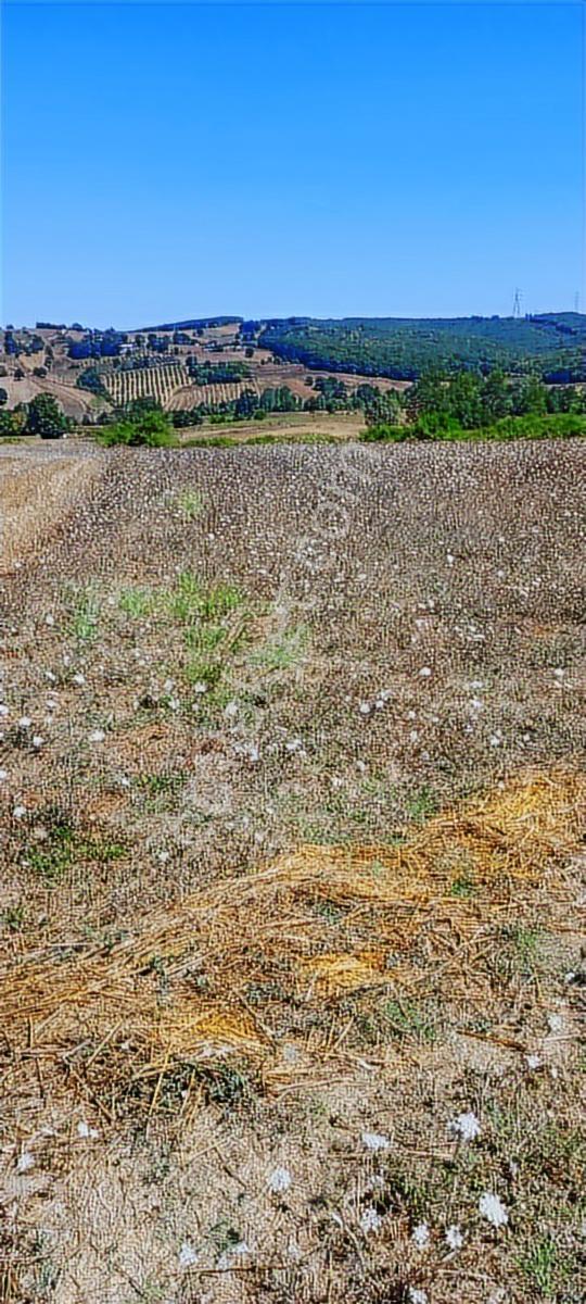 Araç Takasına Uygun Karadivan Köye Yakın 1.522 M2 Müstakil Tapu - Görsel 8