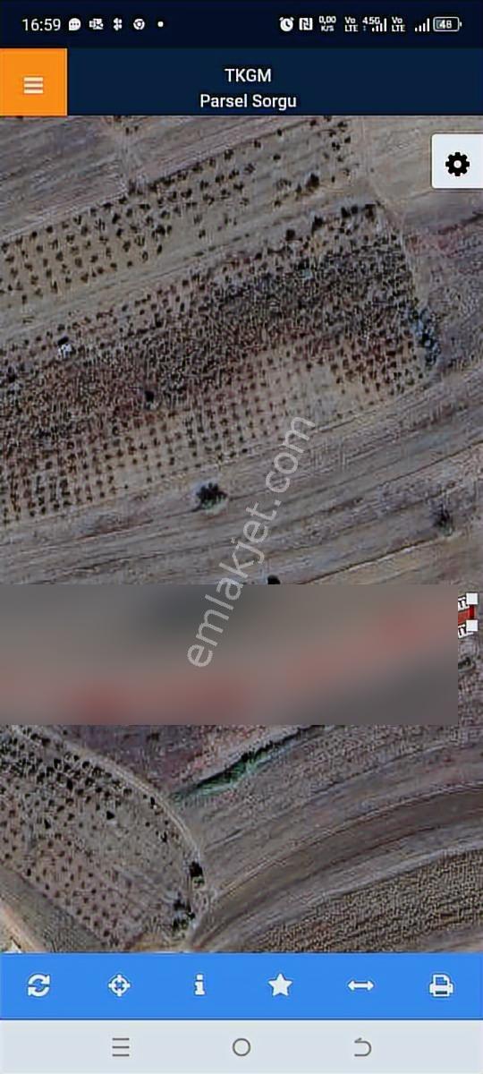 Araç Takasına Uygun Karadivan Köye Yakın 1.522 M2 Müstakil Tapu - Görsel 11