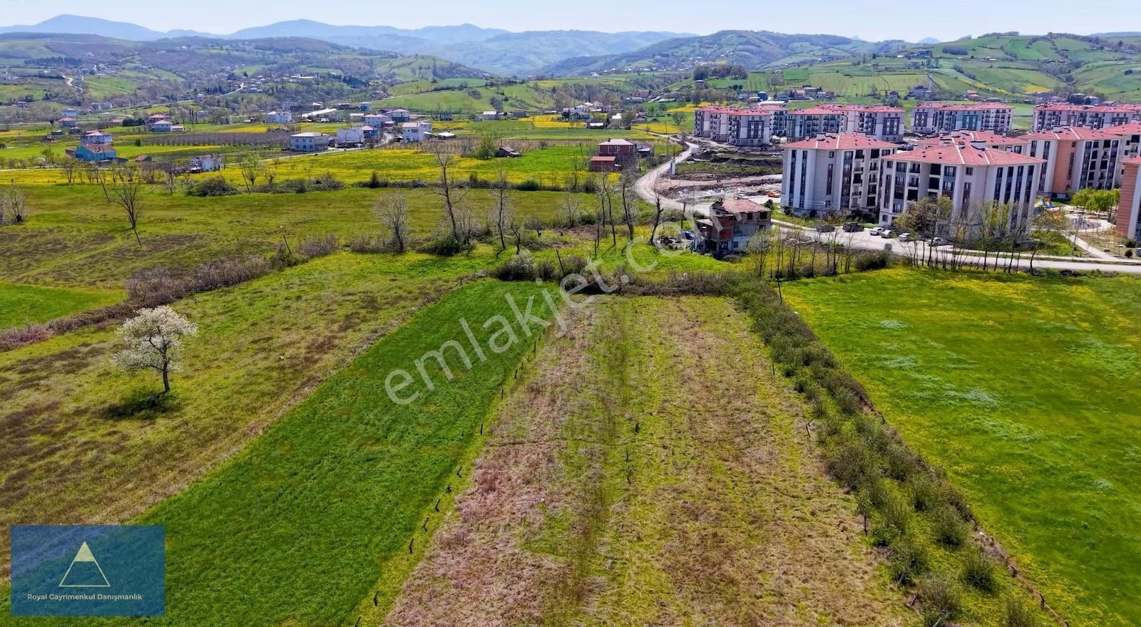 Samsun 19 Mayıs'ta Ana Yola Cephe Satılık Tarla - Görsel 2