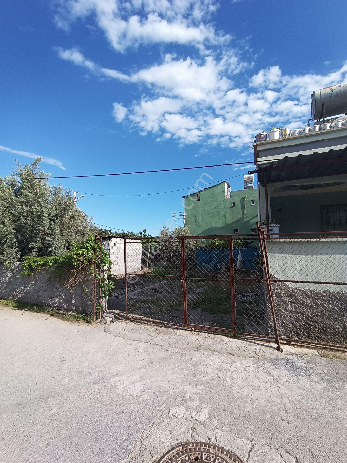 Bizim Emlak'tan Yeşilevler Mahallesinde 280m2 İçinde 2+1 Satılık Müstakil Ev - Görsel 2
