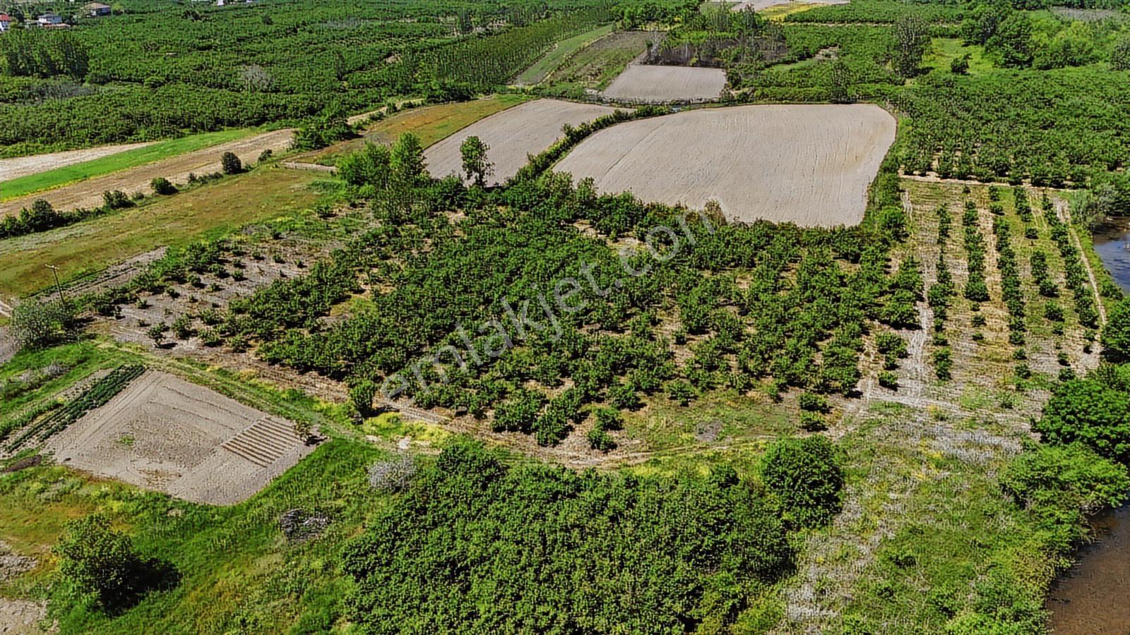 Remaxhürden Karasu, Kuyumculu'da, Deniz Manzaralı Ve İmara Yakın - Görsel 20