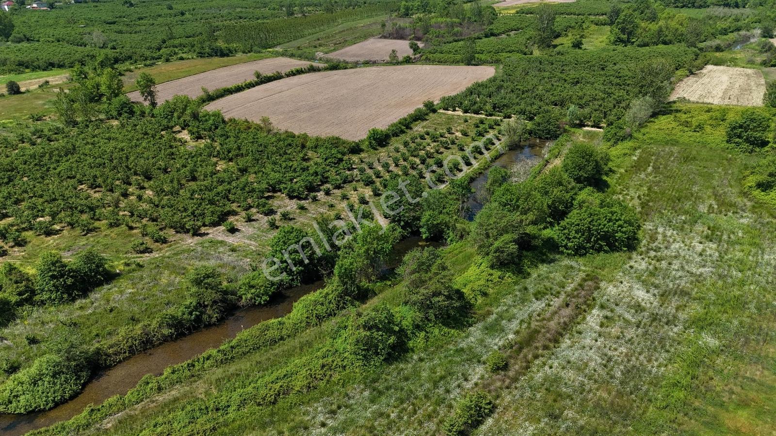 Remaxhürden Karasu, Kuyumculu'da, Deniz Manzaralı Ve İmara Yakın - Görsel 10