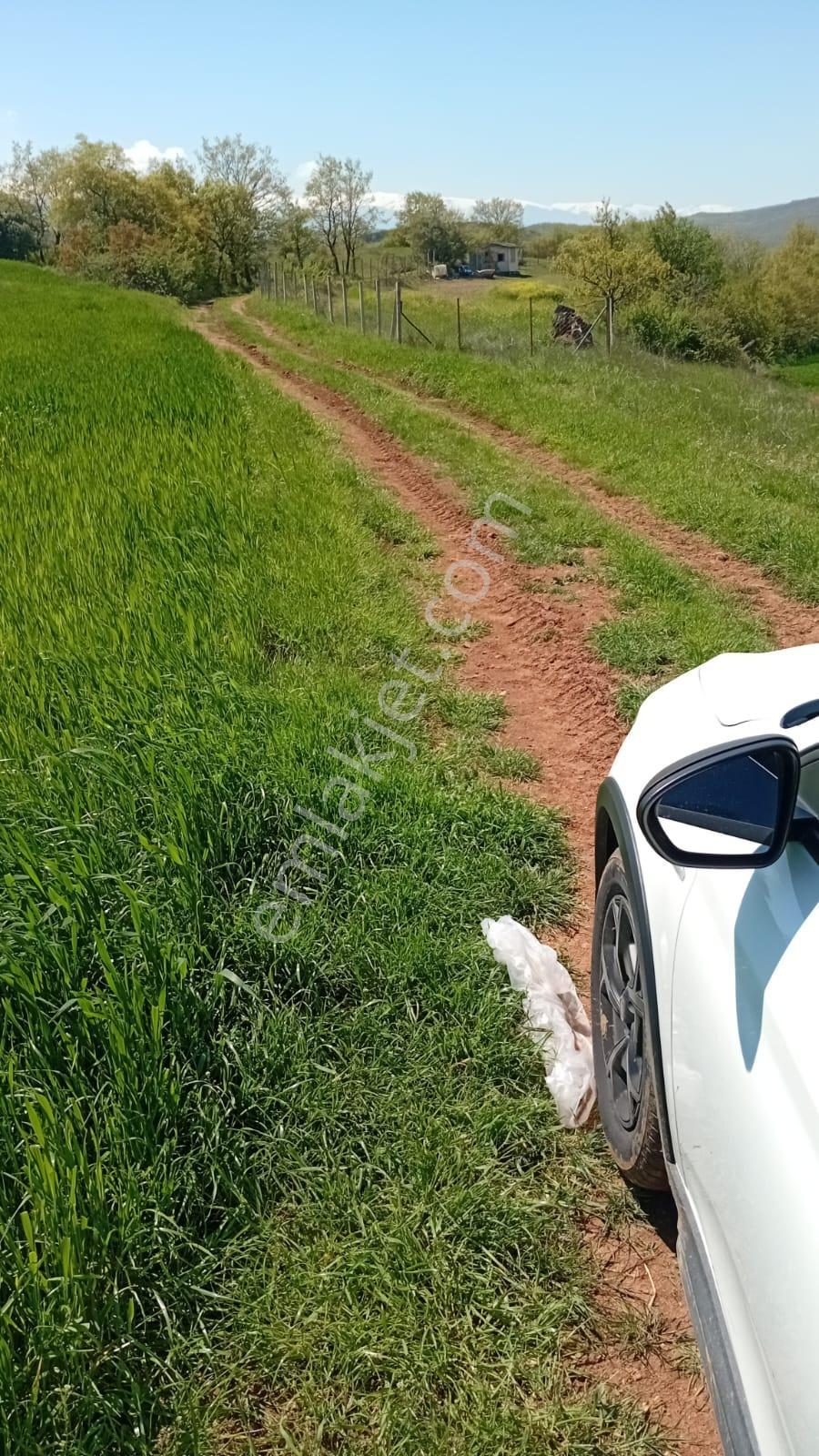 Yola Sıfır Konumuyla Avantajlı Tarım Arazisi! - Görsel 3