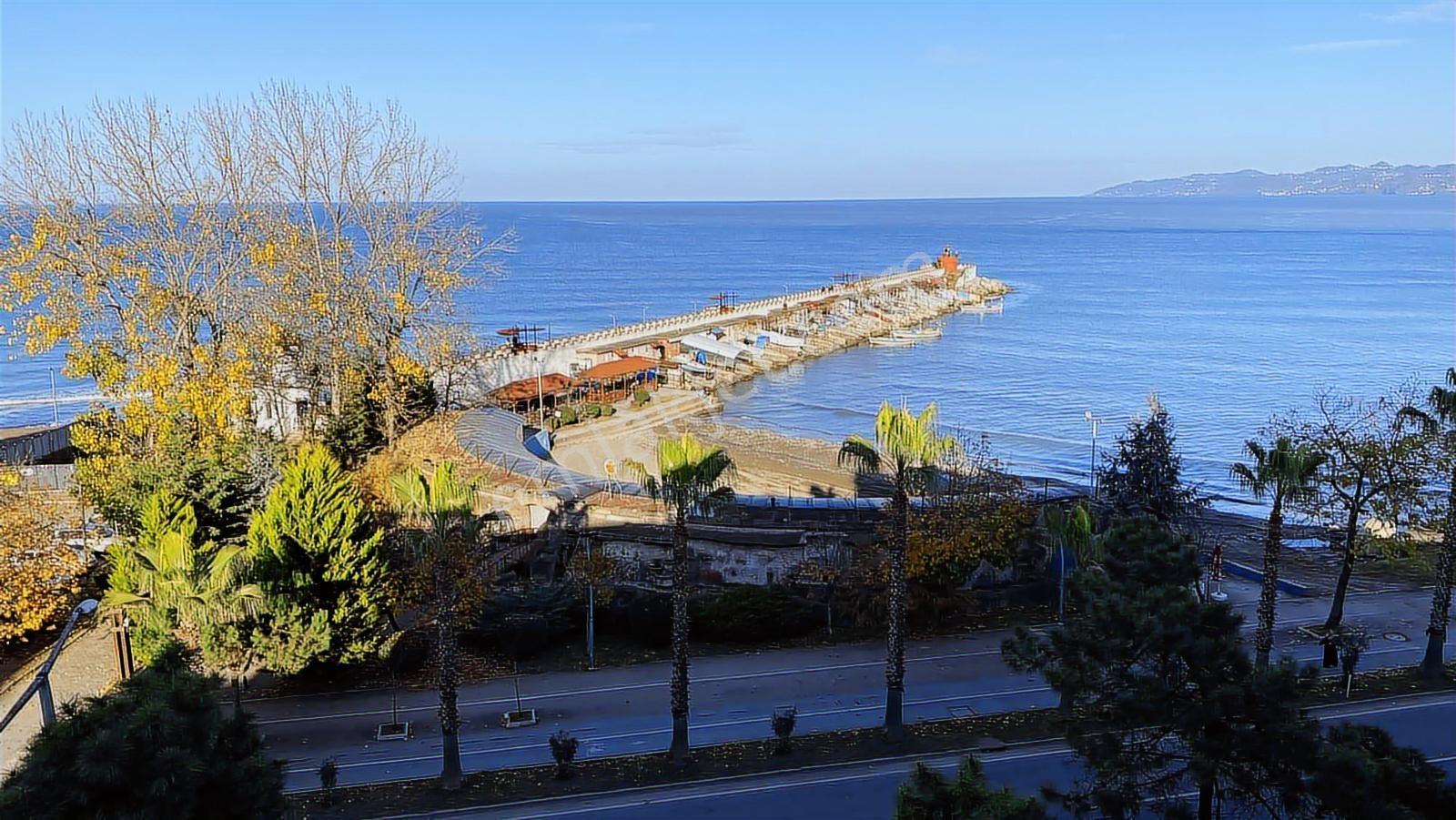 Fatsa Sahil, Ana Yolu Üzerinde, Denizmanzaralı 3+1 Kiralık Daire - Görsel 12
