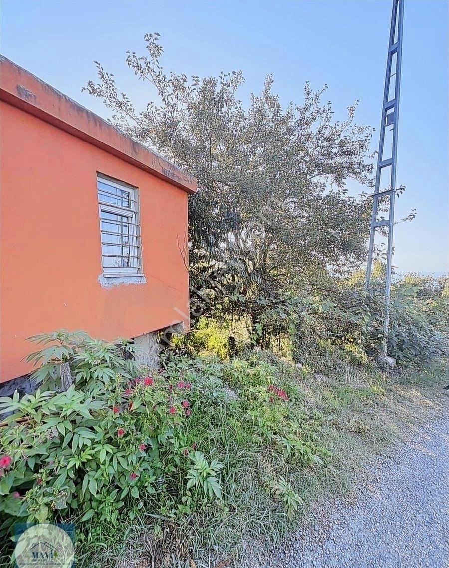 Giresun Görele Karaburunda Ev Ve Fındık Bahçesi - Görsel 5