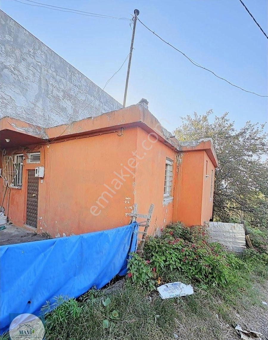 Giresun Görele Karaburunda Ev Ve Fındık Bahçesi - Görsel 12